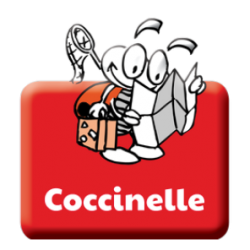 bouton coccinelle2.png