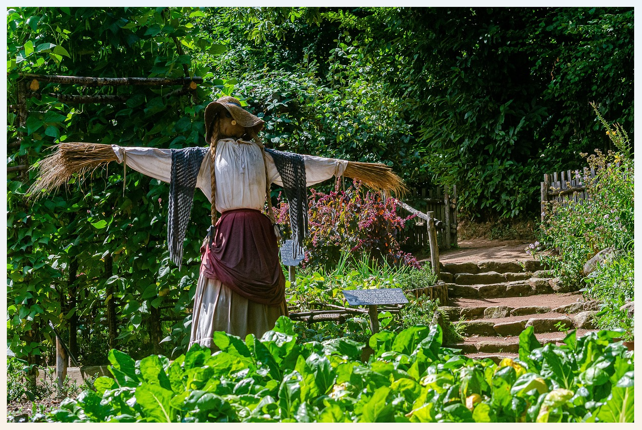 Photo d'un épouvantail dans un jardin