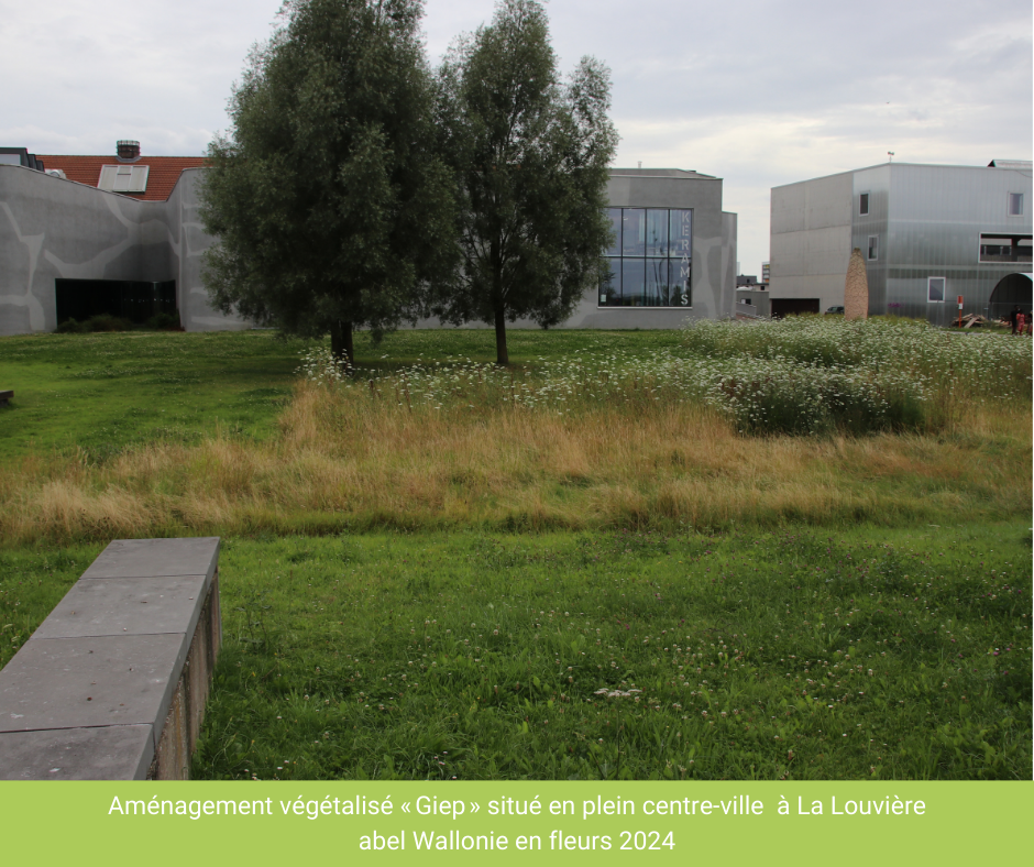 Gestion-Intégrée-Eaux-Pluviales_ La Louvière