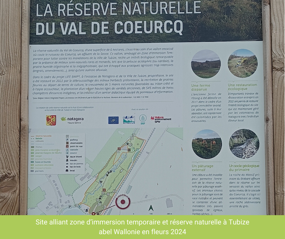 Zone_immertion_temporaire_reserve_naturelle_Tubize