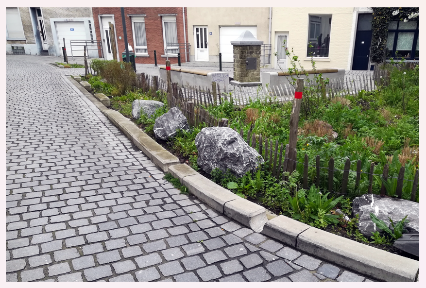 16_noue jardin de pluie-commune de Forêt