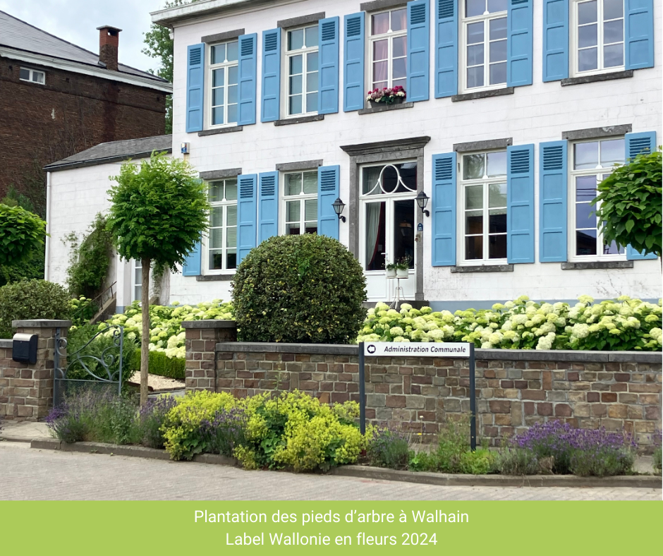 Plantation_pieds_d-arbre_Walhain