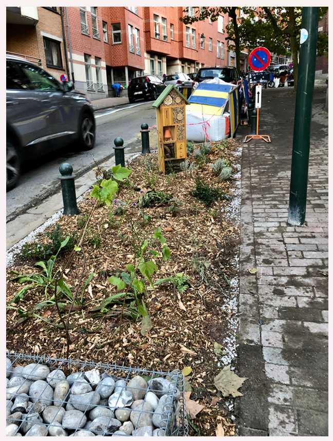 Projet de déminéralisation après