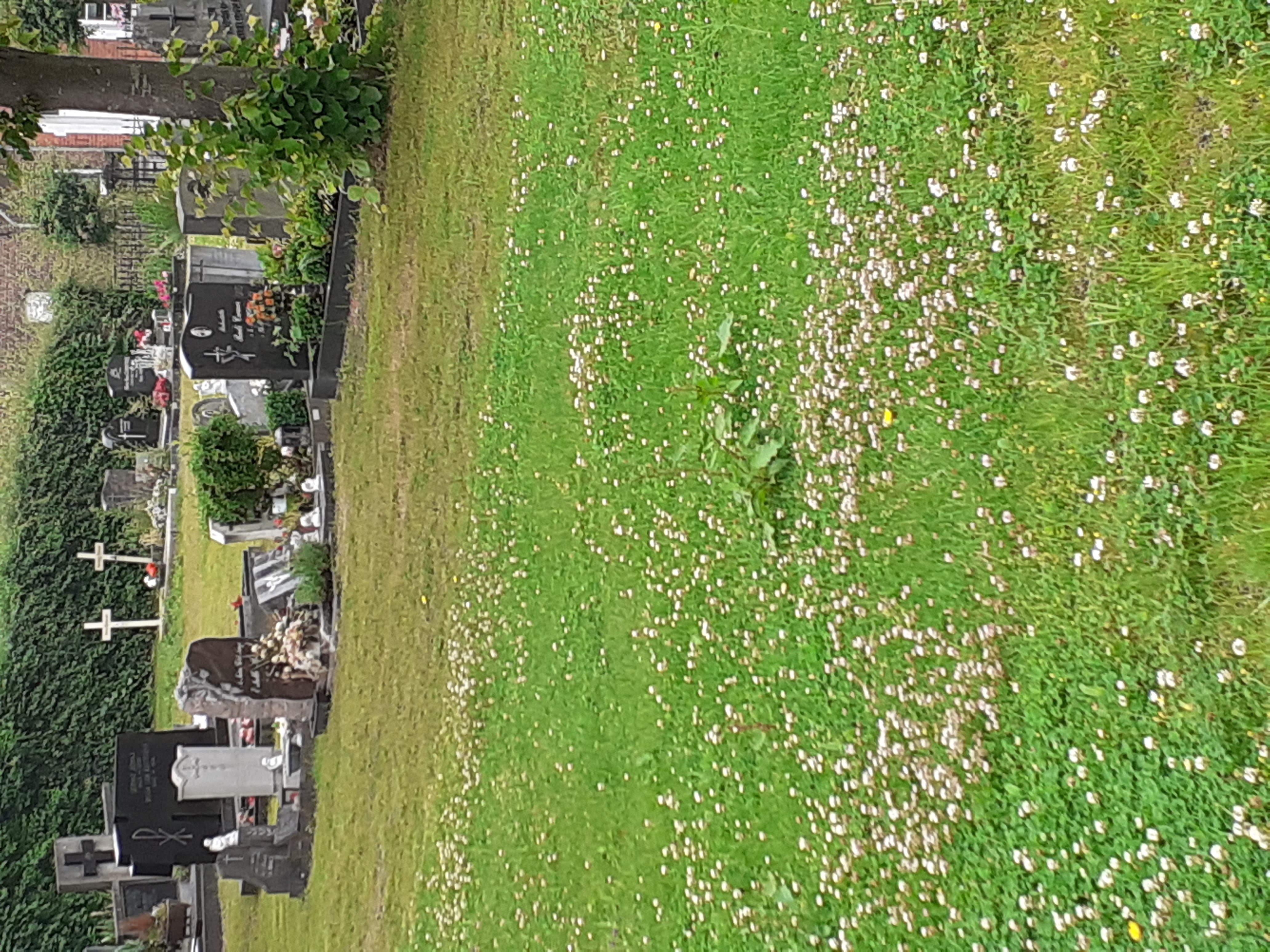 cimetière