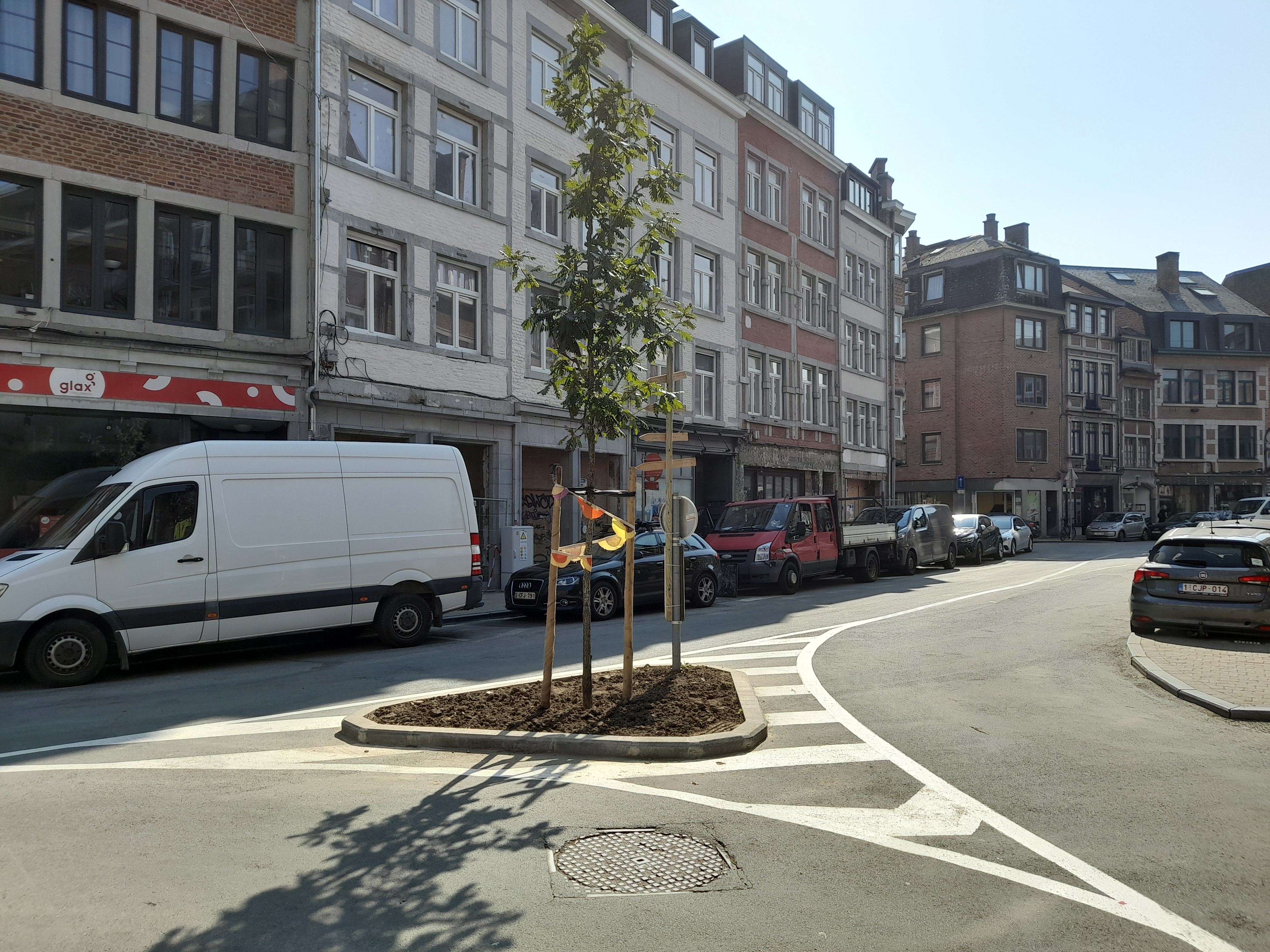 Arbre en ville
