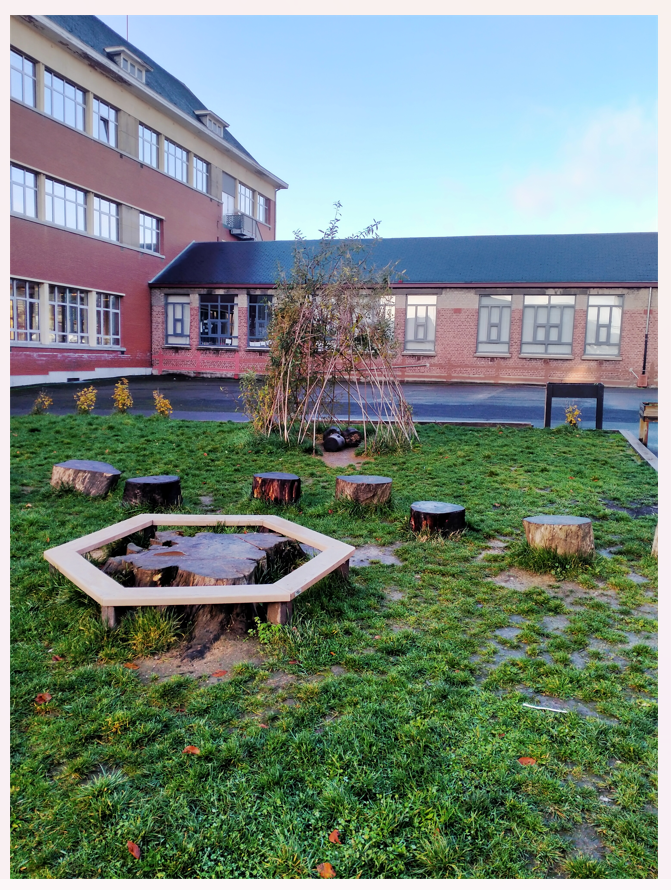 Cour d'école déminéralisée Andenne - copyright F. Evrard