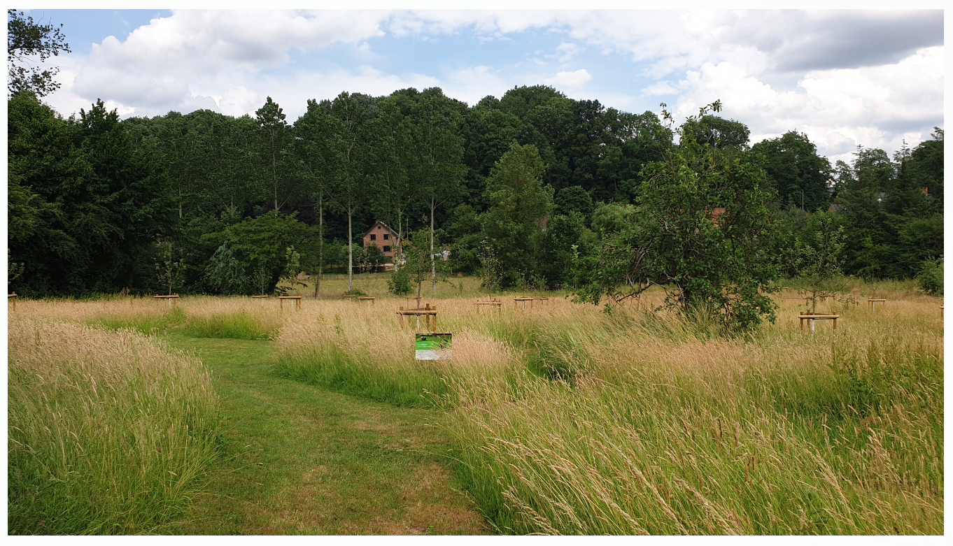 Tonte-differenciee-chaumont-gistoux