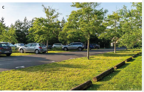 parking végétalisé - copyright ecovegetal