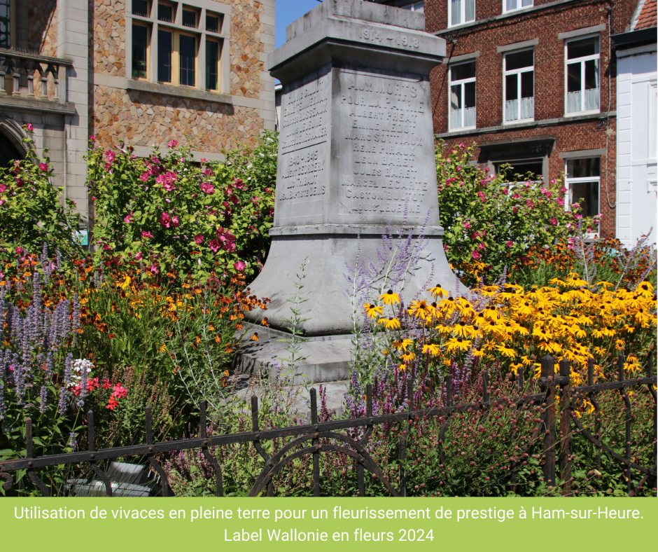 Plantations_pleine_terre_Ham-sur-Heure