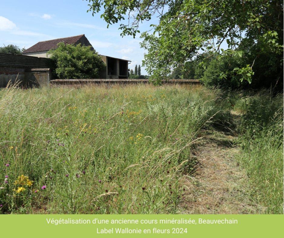 Ensemmencement-zone-minéralisée_Beauvechain