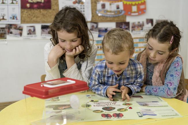 Animation dans une école