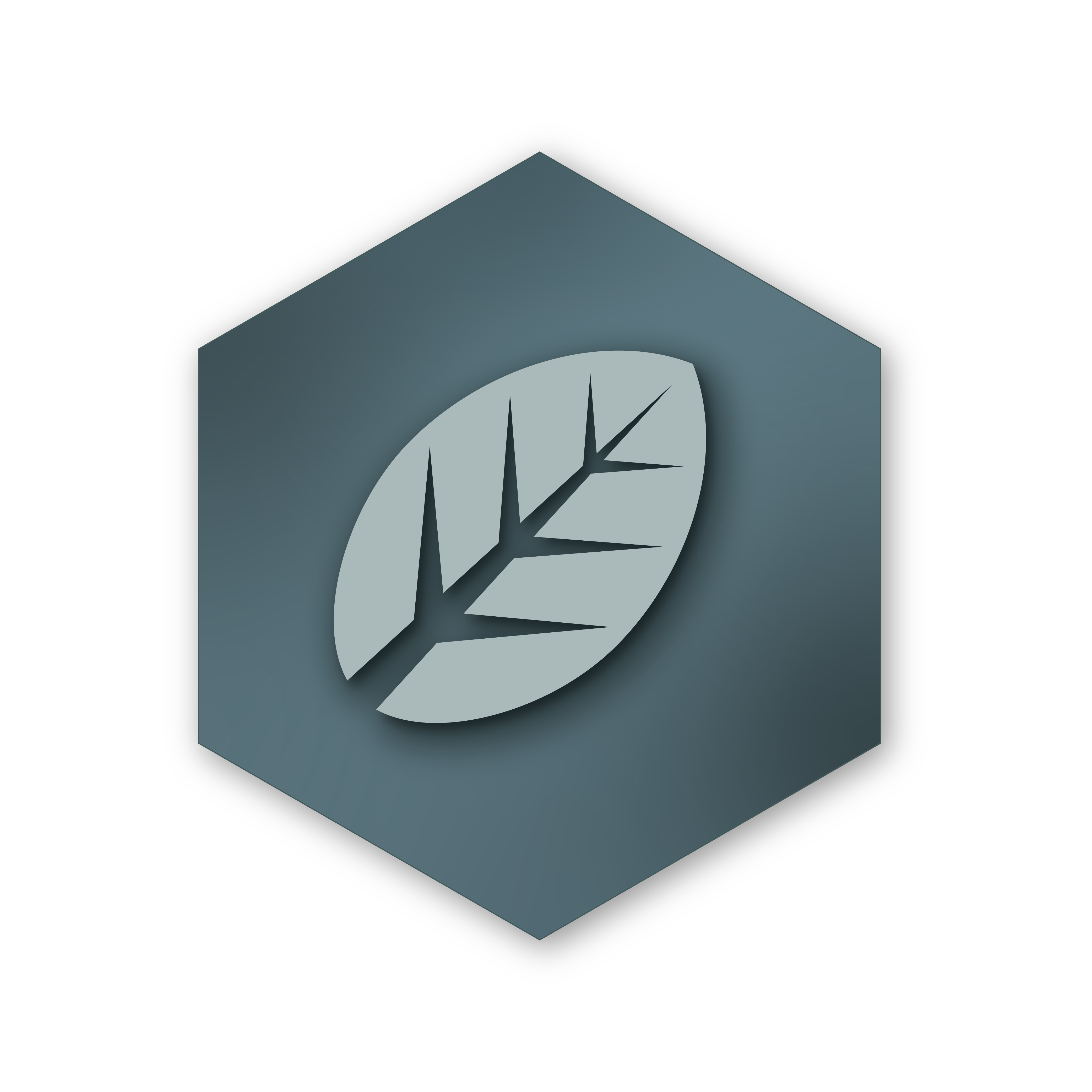 Badges_VEPJ_platinum_Icone