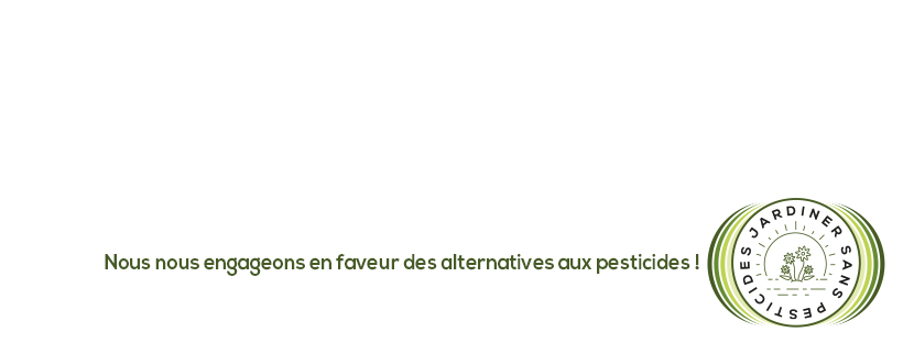 texte à coller