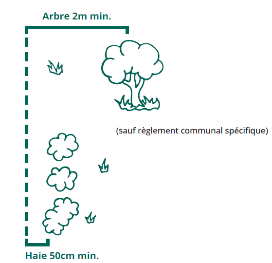 Distance de plantation