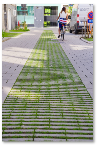 vélo à Anvers