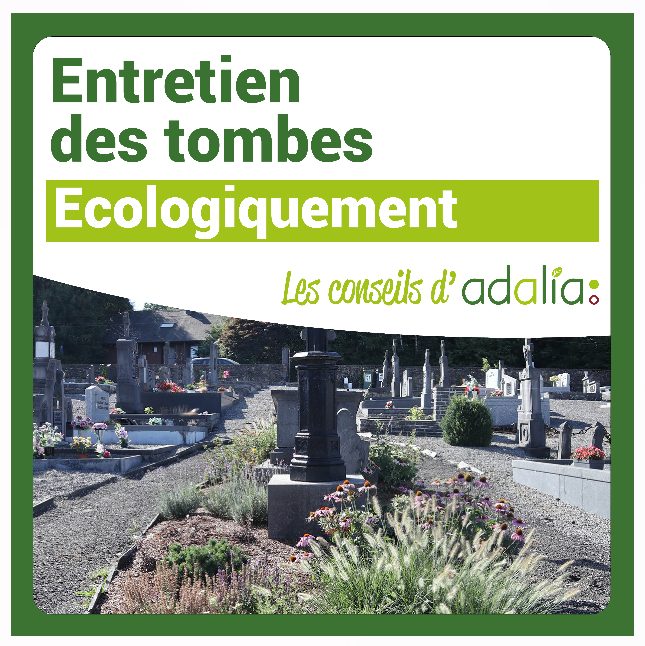 entretien des tombes