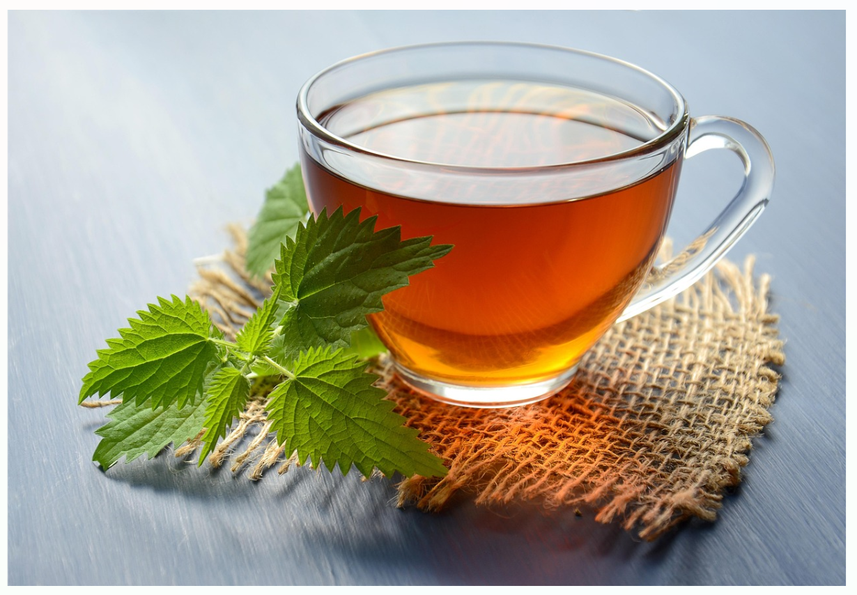 tisane-ortie