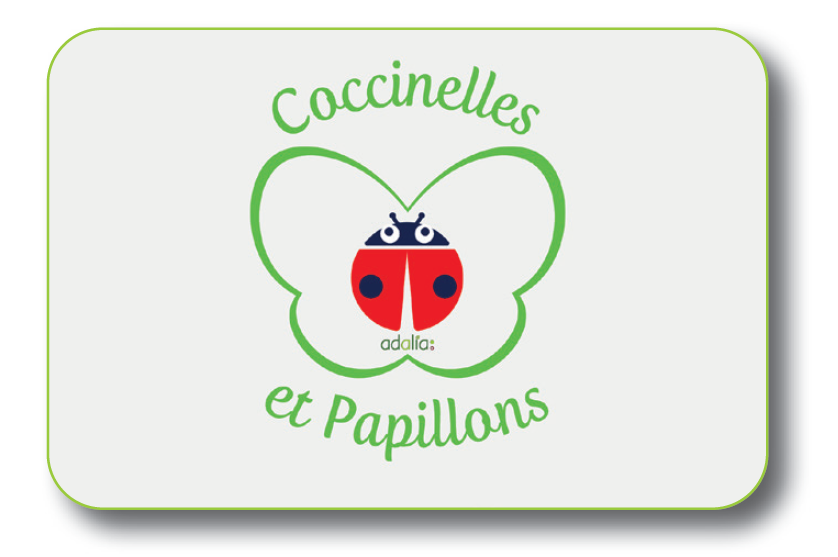 Coccinelles et papillons 