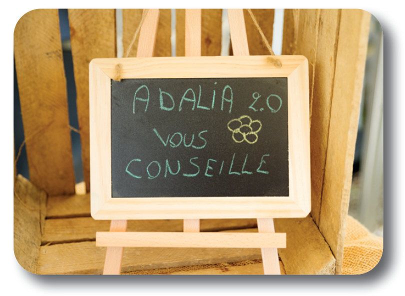 Stands-adalia