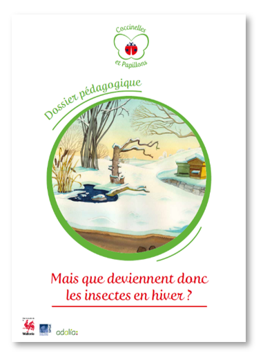 Dossier pédagogique