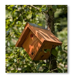 Nichoir Local à Plumes