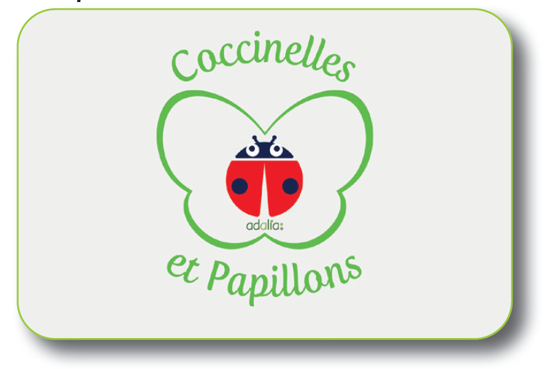 Coccinelles et papillons 