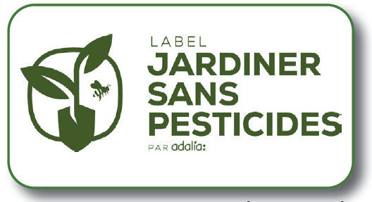 Label JSP