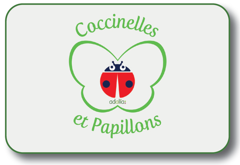 Coccinelles et papillons 