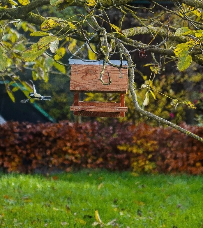 Mangeoire avec un distributeur en bouteille pour maintenir les graines au sec