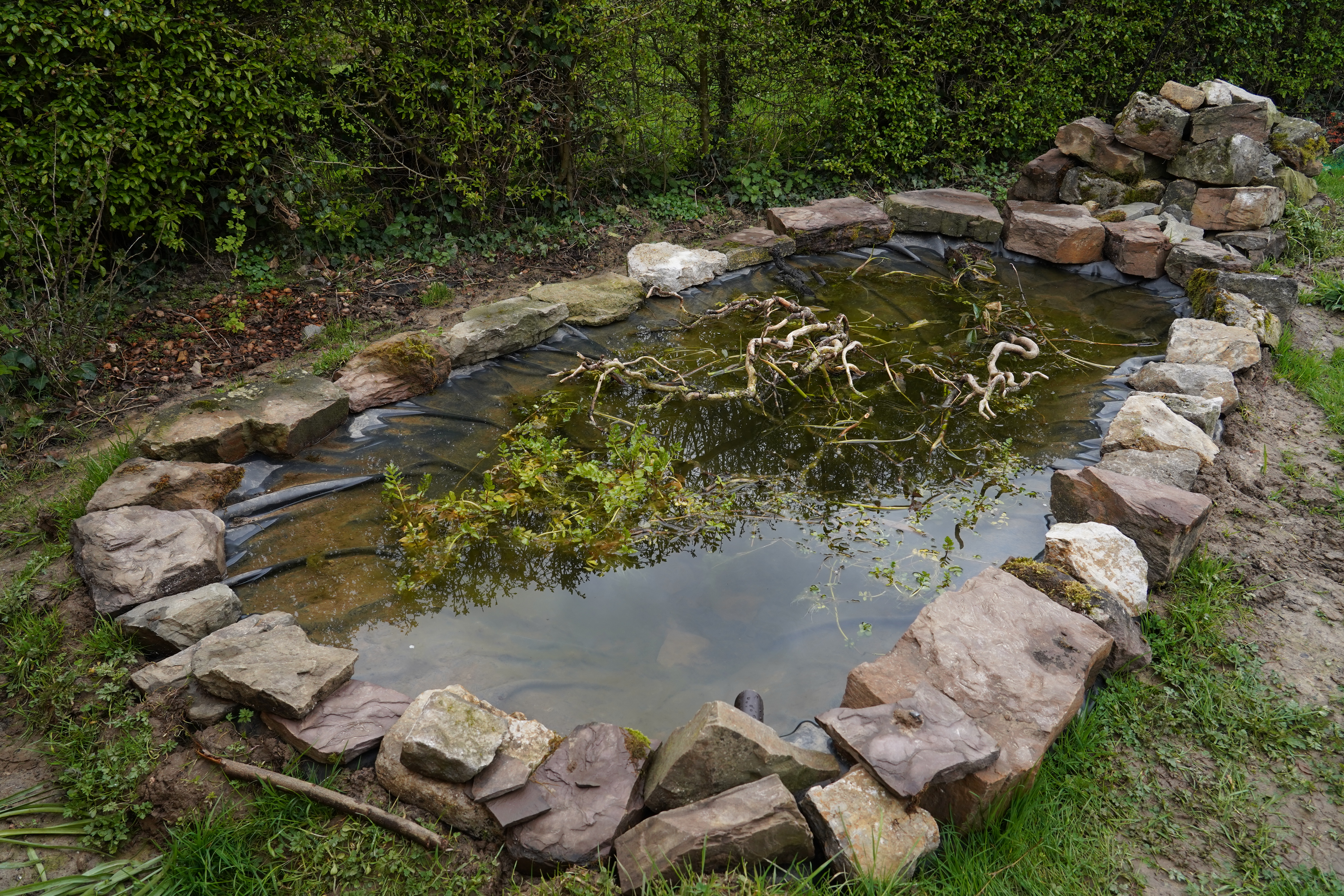 Mare jardin