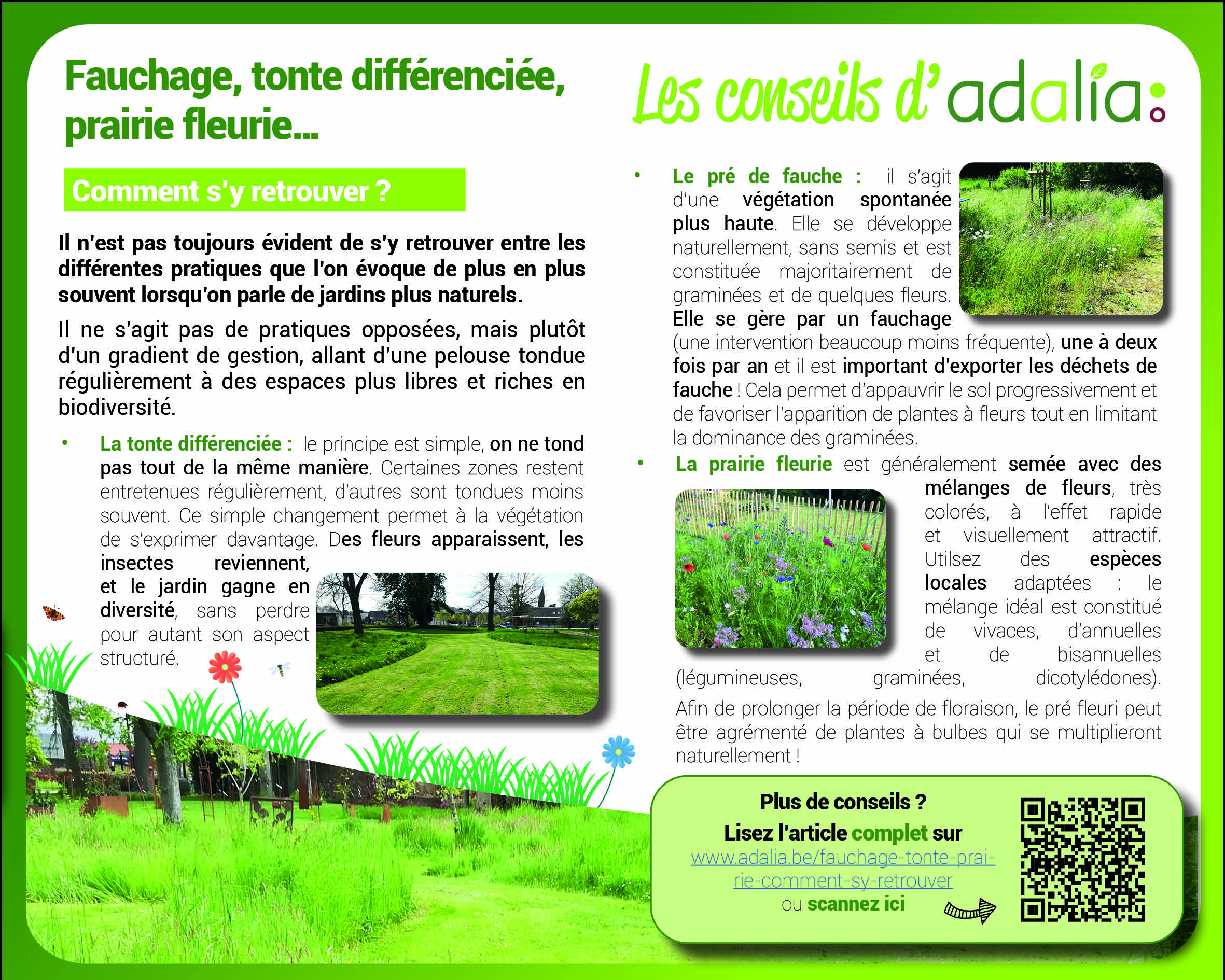 Fauchage, tonte différenciée, prairie fleurie… Comment s’y retrouver ?
