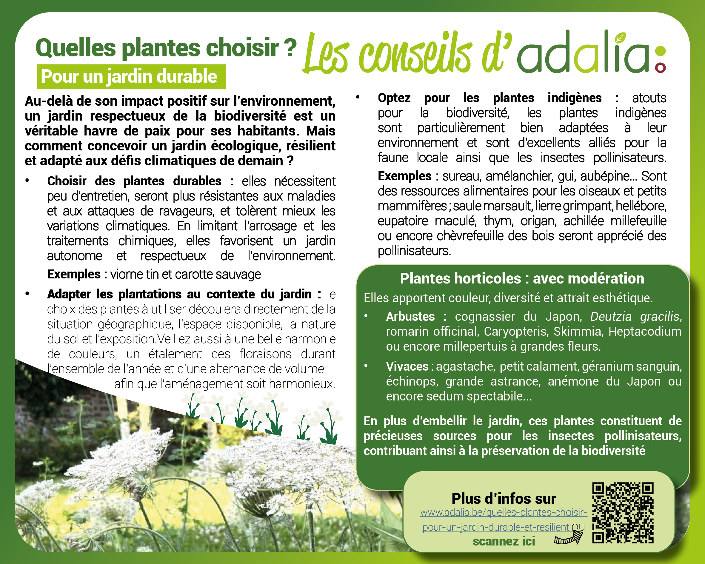 Résumé de l'article- quelles plantes choisir pour un jardin durable et résilient ?