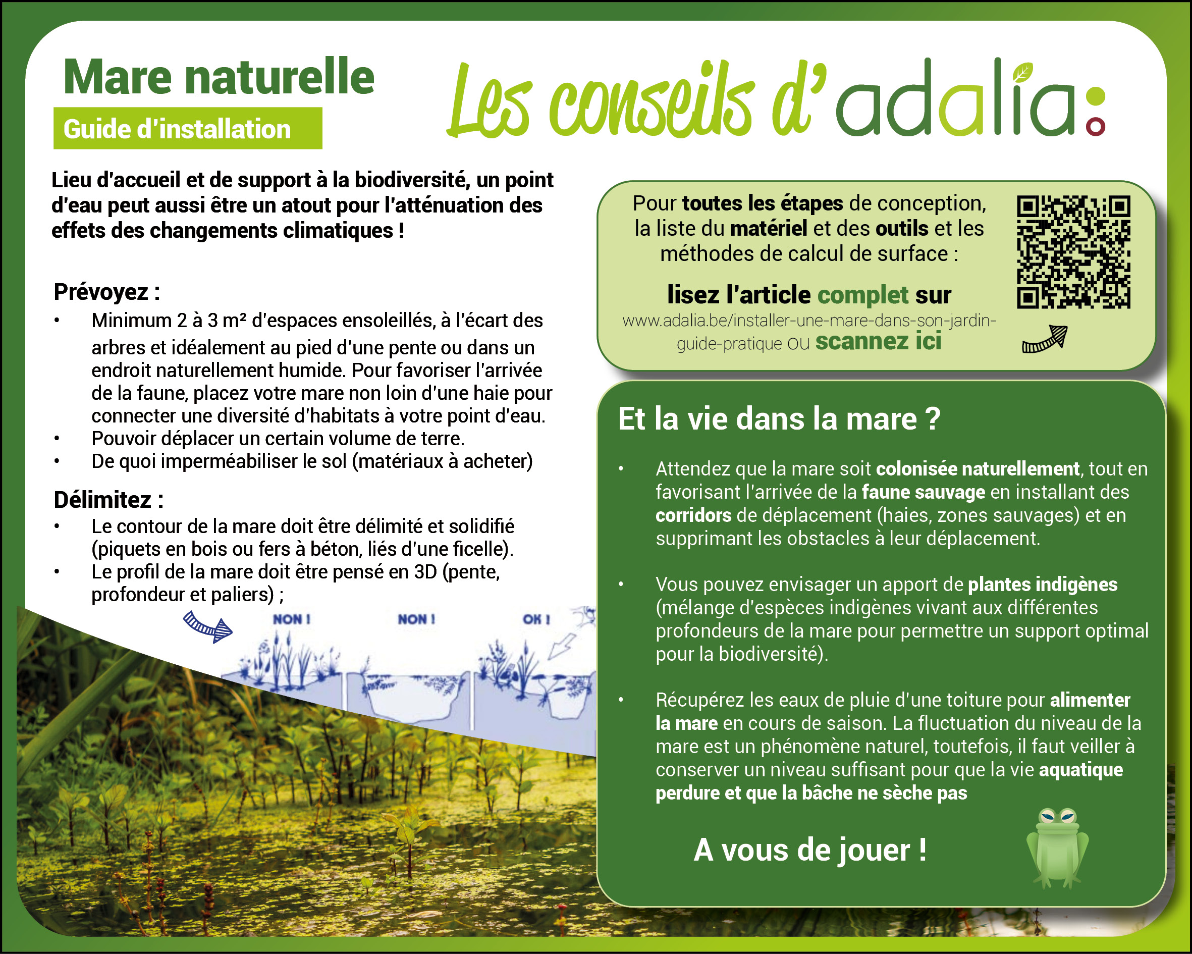 Guide d'installation de la mare naturelle
