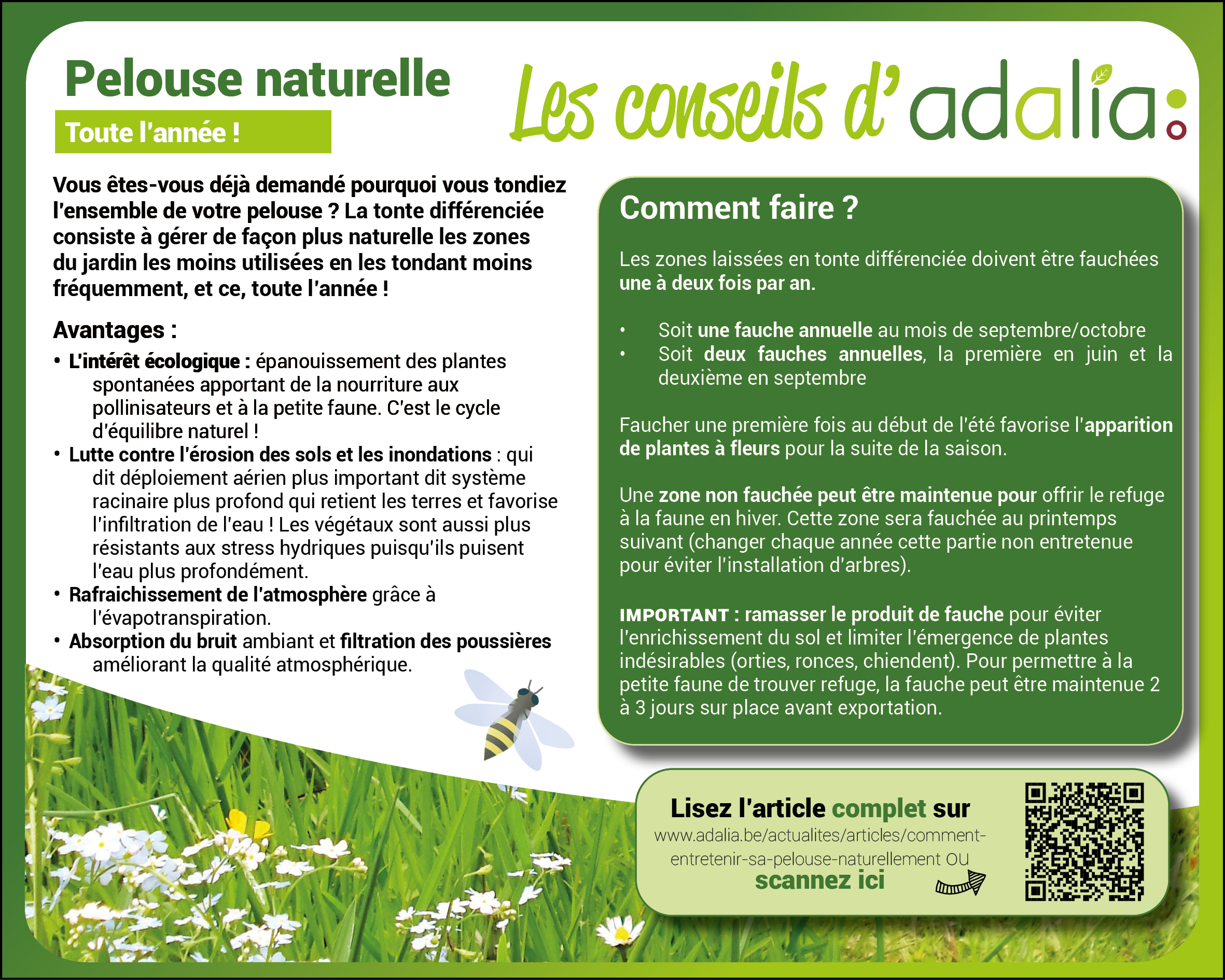 pelouse-naturelle-toute-lannee