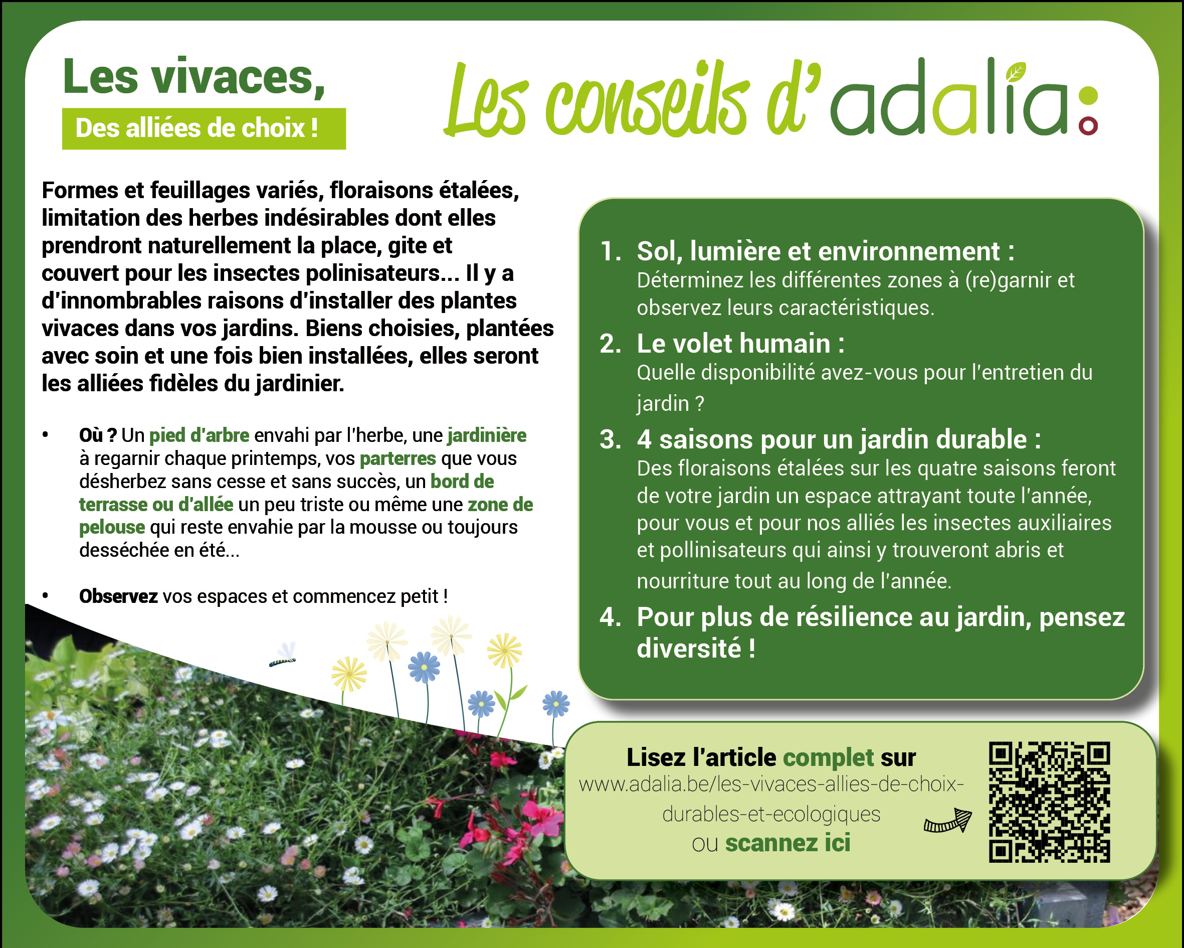 Les vivaces des alliées de choix