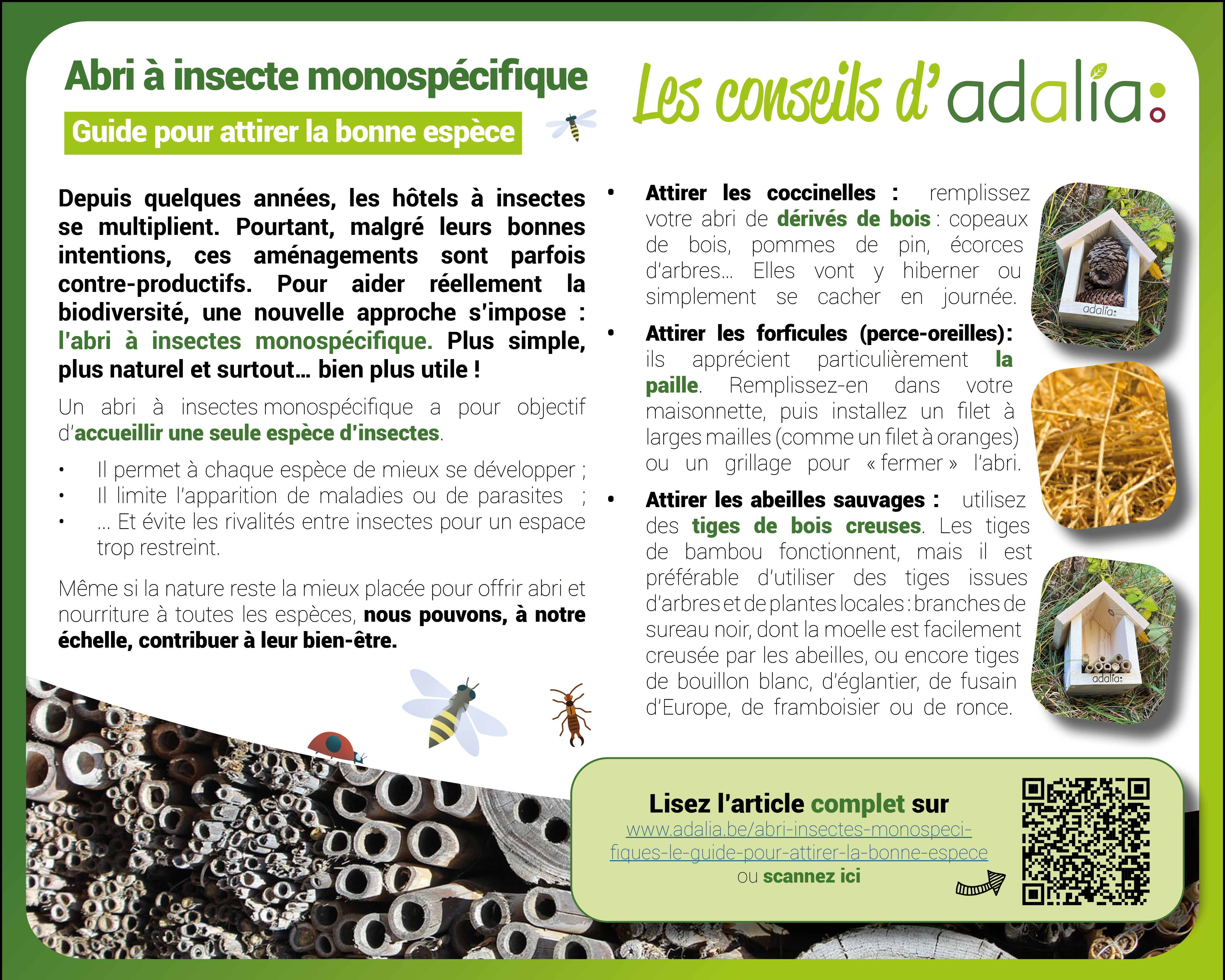 Abri à insectes mono-spécifiques