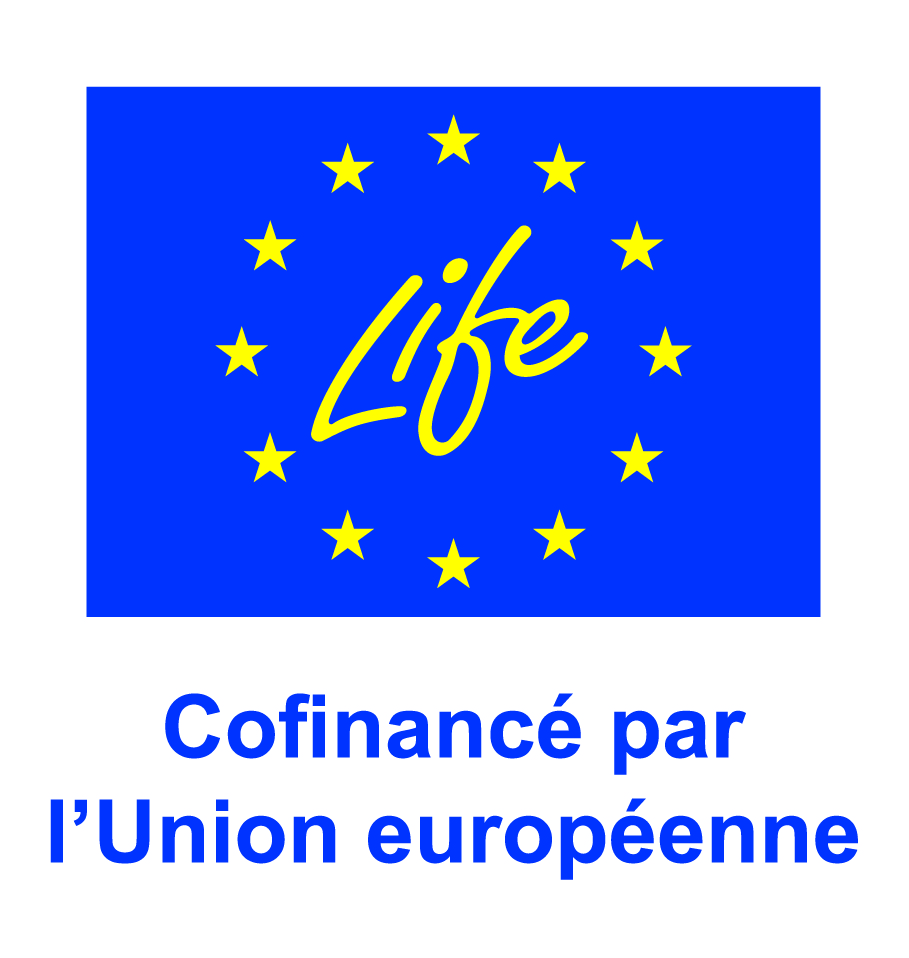 logo financement union européenne