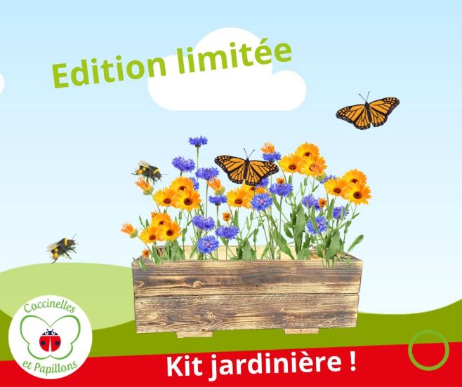 kit jardinière