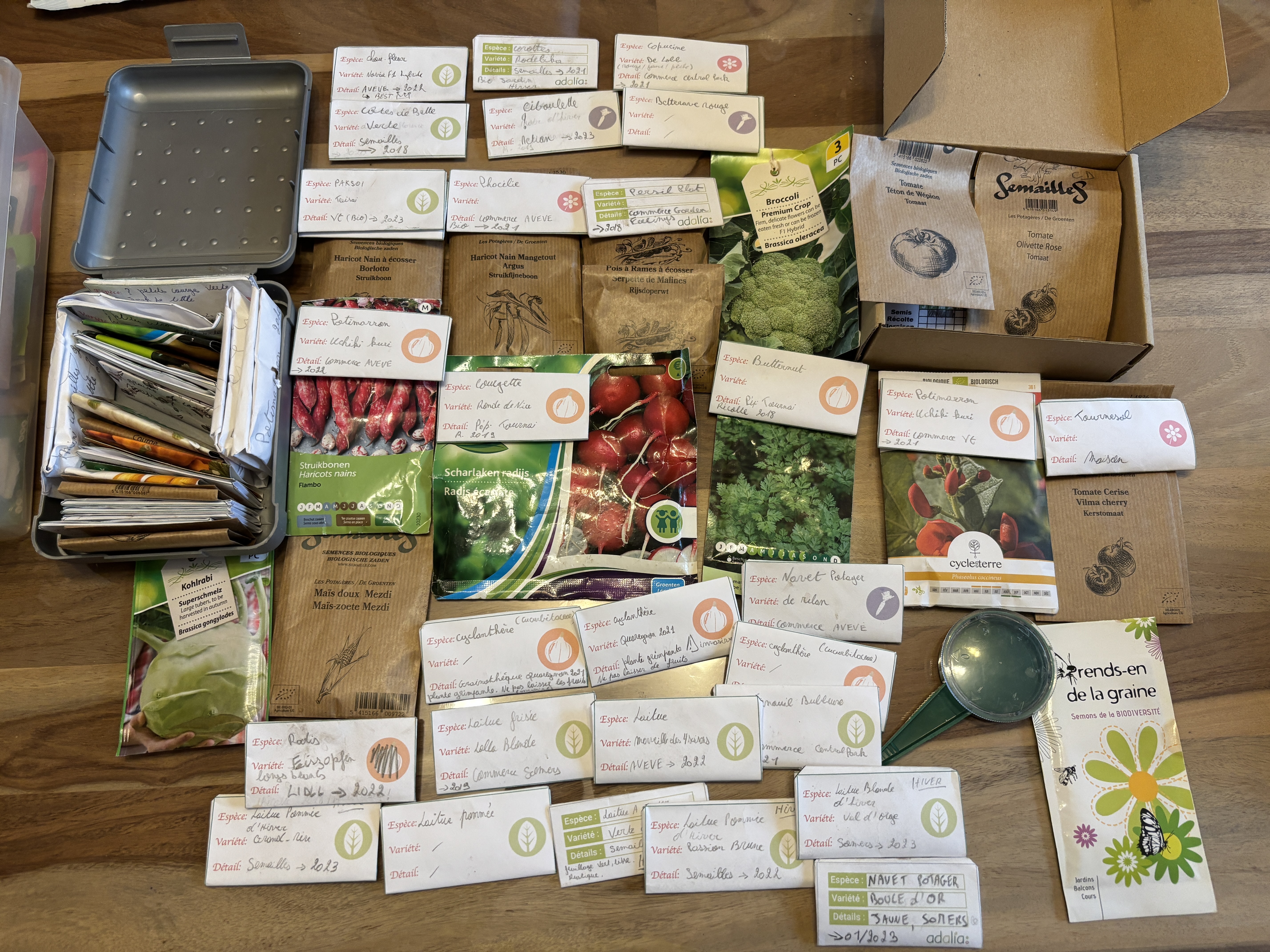 sachet-graine-adalia