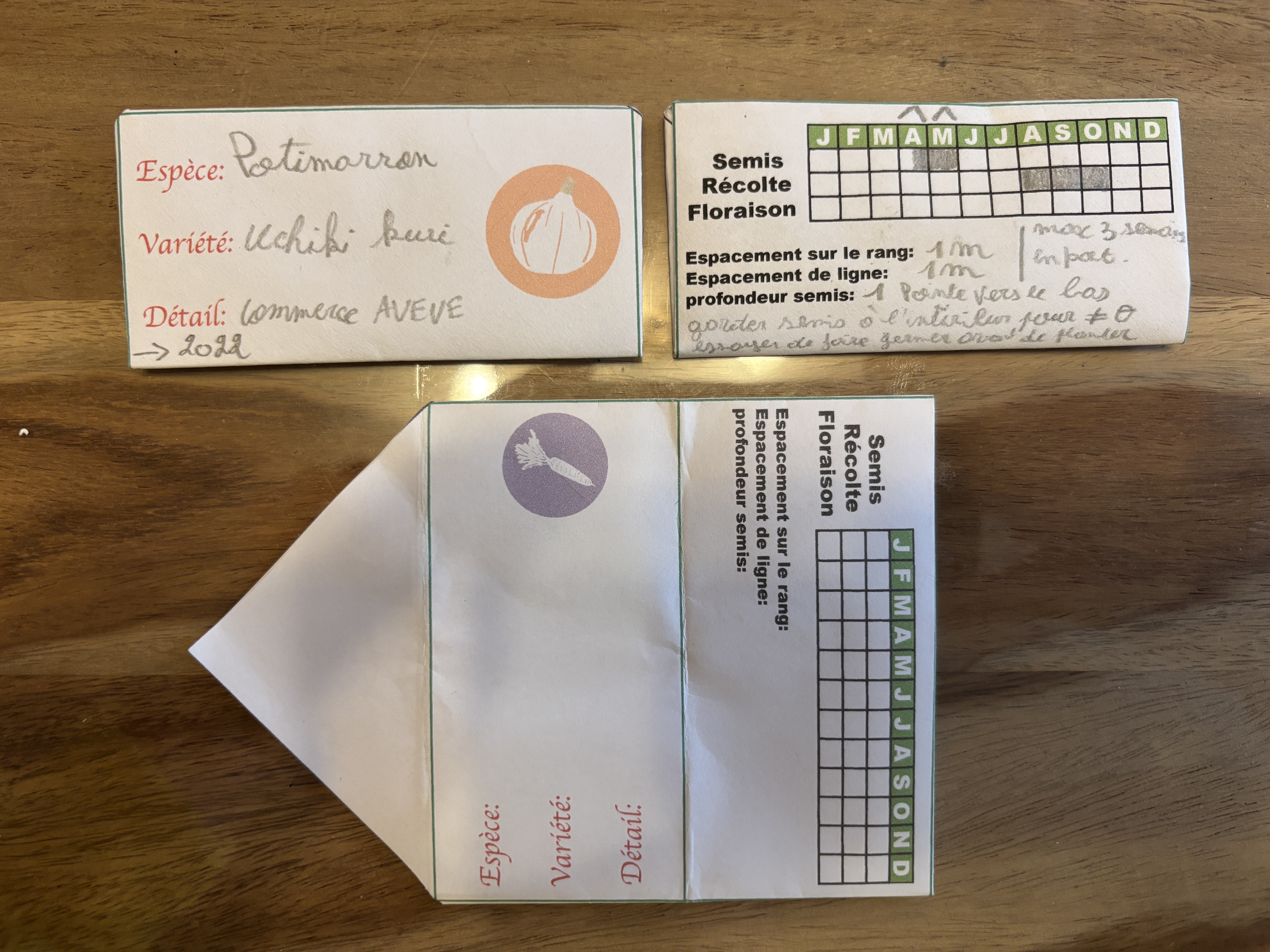 adalia-enveloppe-graines