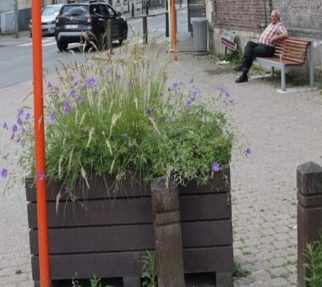 Exemples de bacs à fleurs accueillants des plantes vivaces permettant de contribuer au fleurissement durable (Lasne label Wallonie en Fleurs 2023, photo SPW - Alain Coppens)