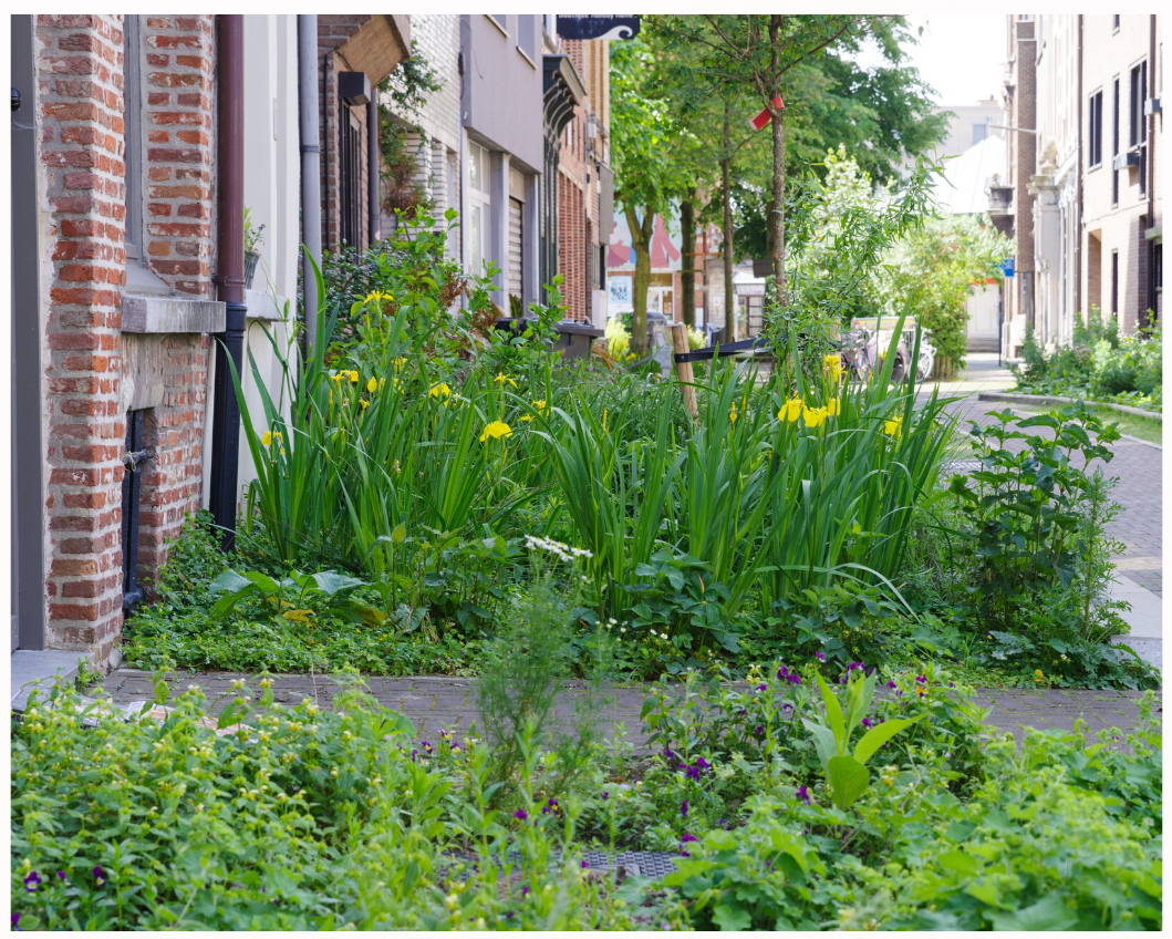 Multistrates-Anvers