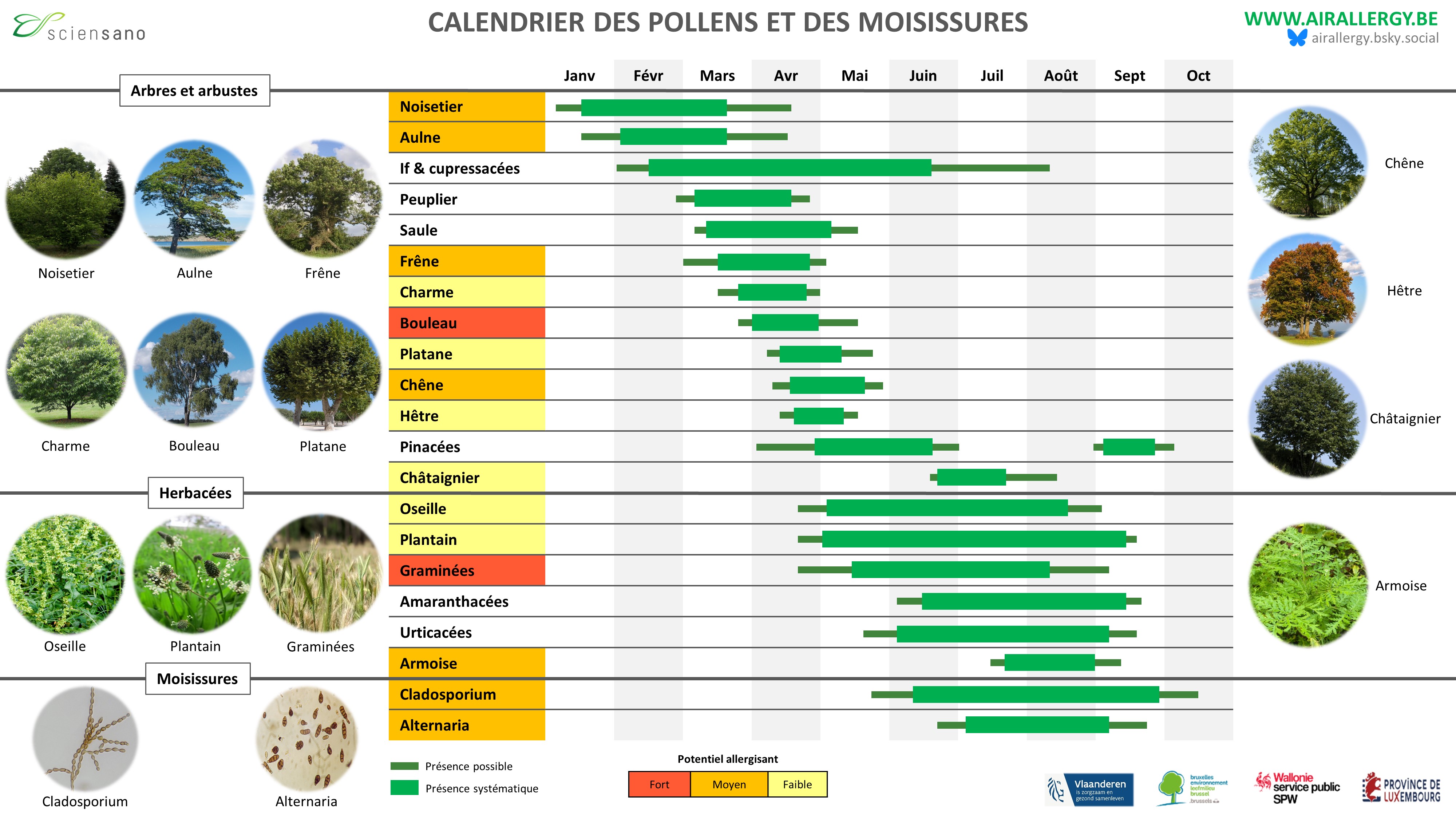 Calendrier des pollen-Copyright Sciensano