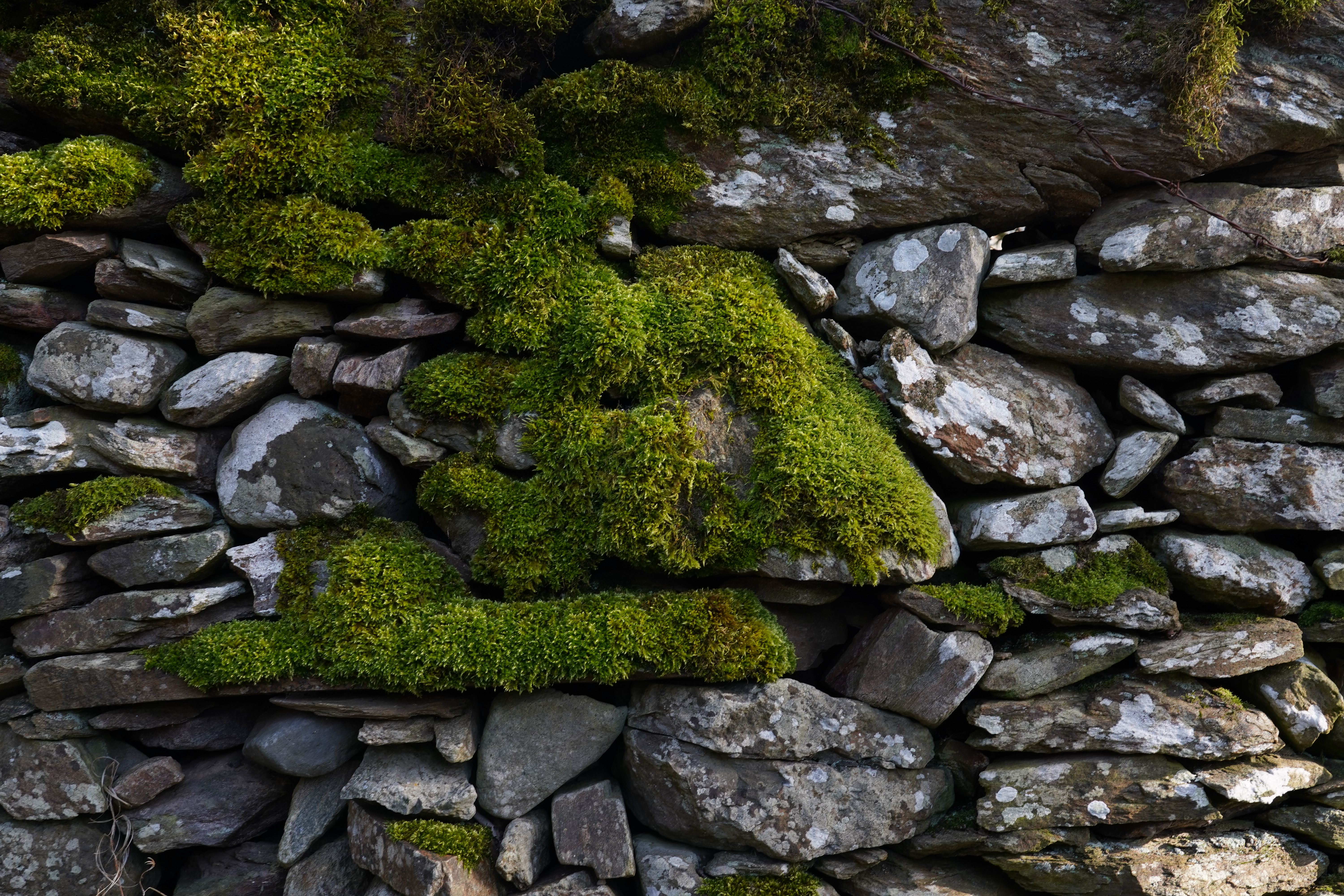 Mur de clôture en bord de chemin