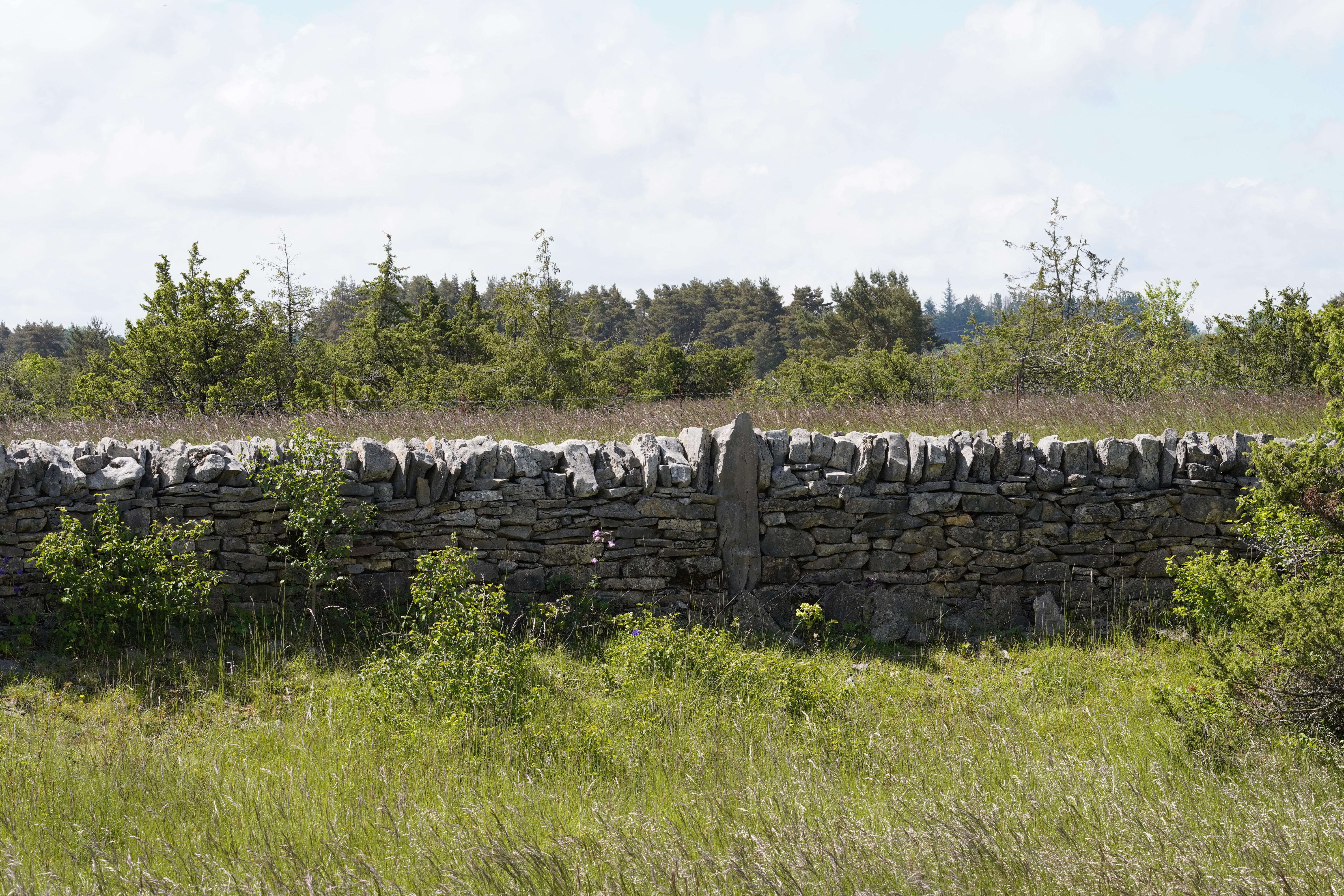 Mur-avec-pierres-de-finition-verticales
