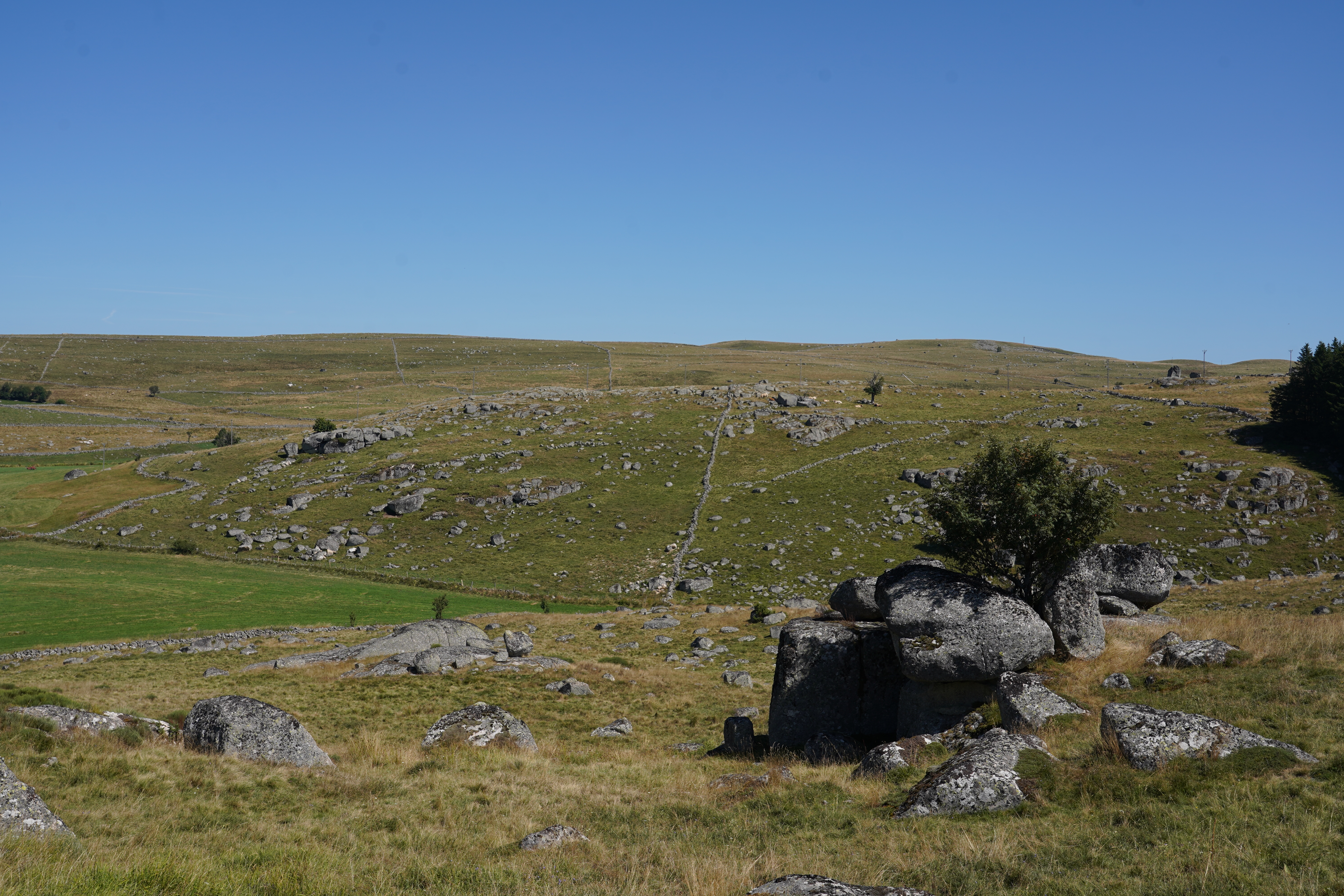 Paysage-en-Aubrac-parsemé-de-murs-en-pierres-seches 