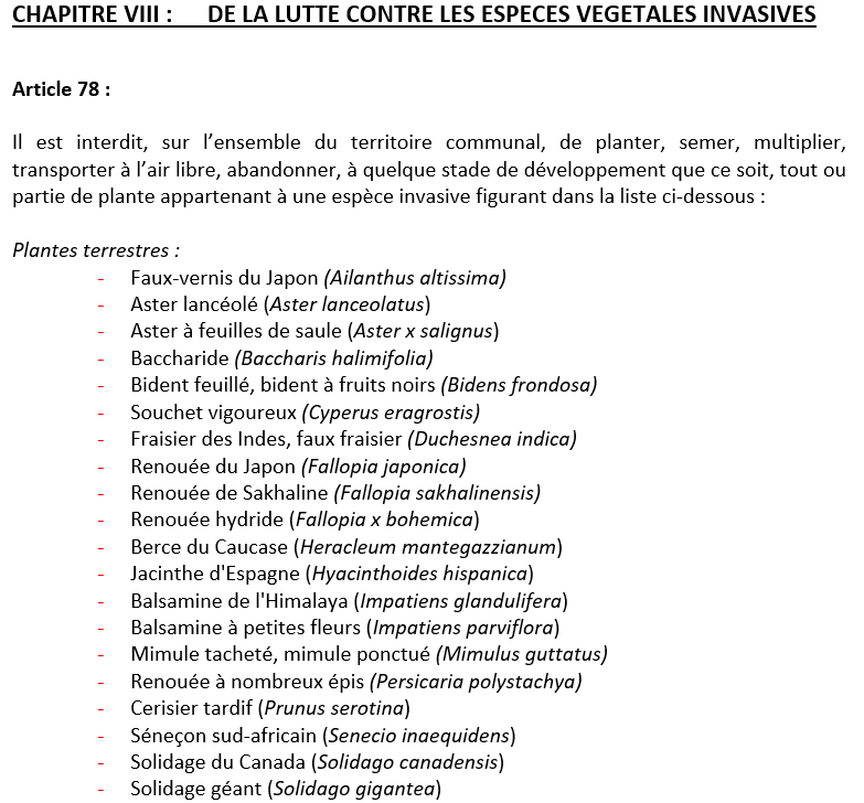 Photo14_Extrait-règlement-police.