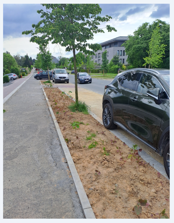 Photo4_Apport-de-terre-végétale_Renouées asiatiques_Copyright_Pauline Crasson