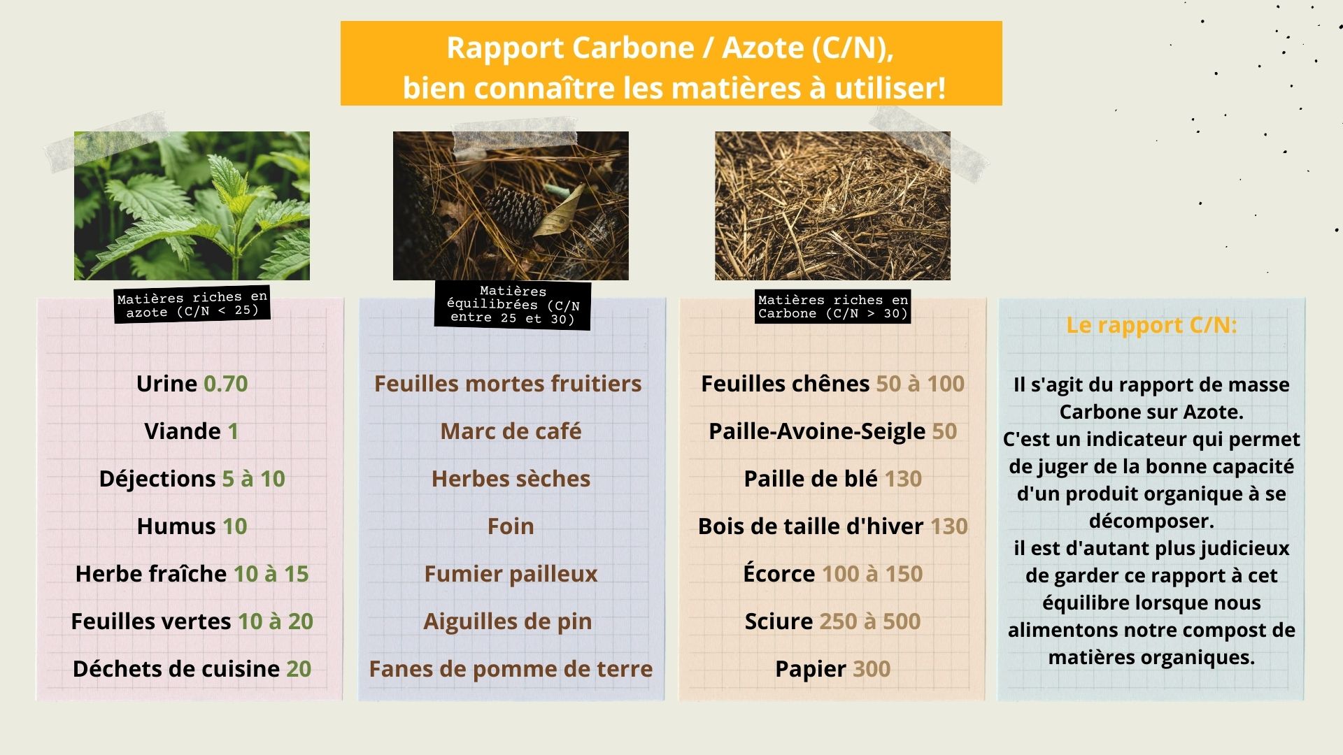 Rapport Carbone azote