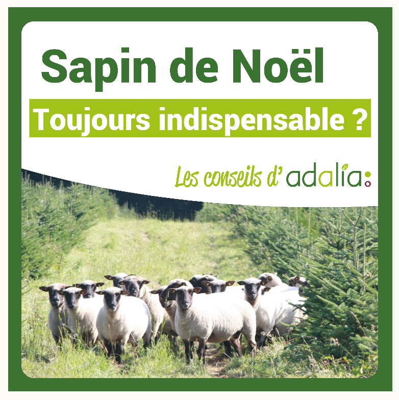 sapin-de-noel